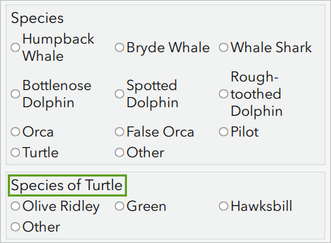 Species of turtle question