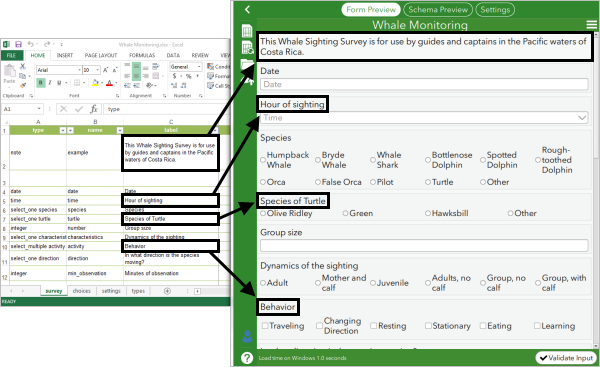 Form preview and spreadsheet comparison