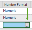 Determine display formatting for numeric and data field types button