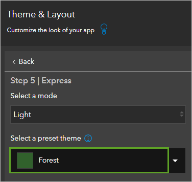 Forest theme in the Theme & Layout pane
