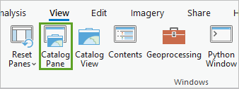 Catalog Pane in the Windows group on the View tab.