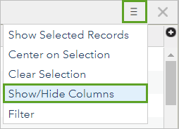 Show/Hide Columns in the Options menu