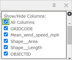 Show All Columns