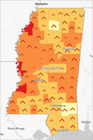 Map showing both priority areas for low birth weight infants and racial inequality information