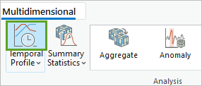 Temporal Profile button