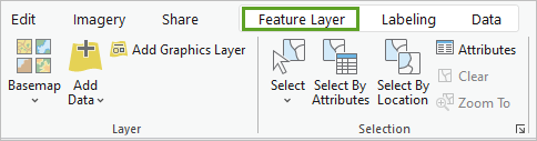 Feature Layer tab