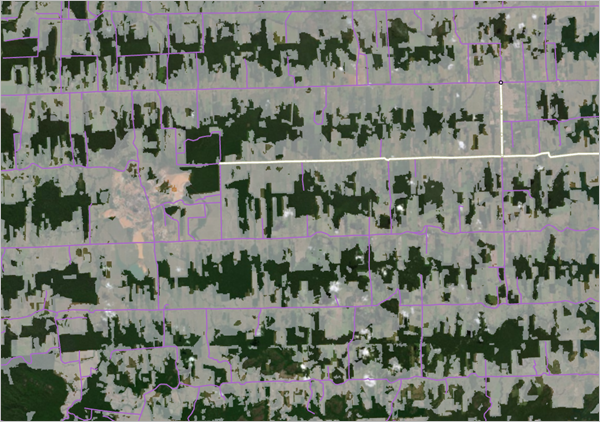 Deforestation in relation to roads