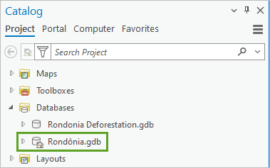 Rondonia.gdb set as default geodatabase