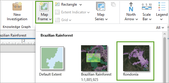 Add the Rondonia map frame.