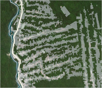 Deforestation pattern