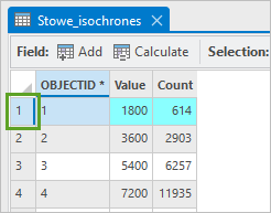 First row of the attribute table