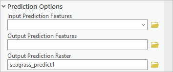 Prediction Options section