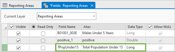 New field values in the Fields view for the Reporting Areas layer