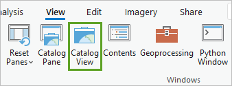 Catalog View in the Windows group on the view tab