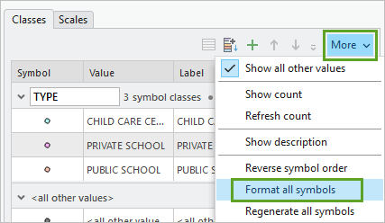Format all symbols in the More menu of options in the Symbology pane
