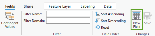 New Field in the Changes group on the Fields tab