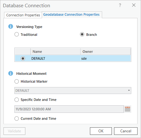 Versioning Type set to Branch