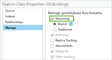 Manage geodatabase functionality set to Versioning