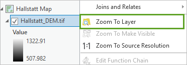 Zoom To Layer menu option