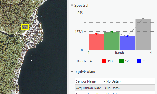 Image Information pane