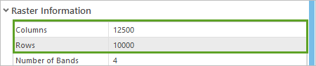 Columns and Rows properties