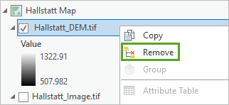 Remove menu option