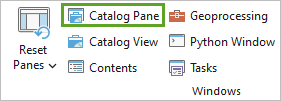 Catalog Pane button