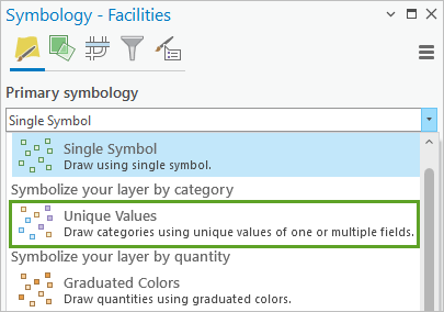 Choose Unique Values symbology.