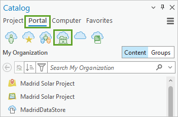 Portal tab and My Organization button