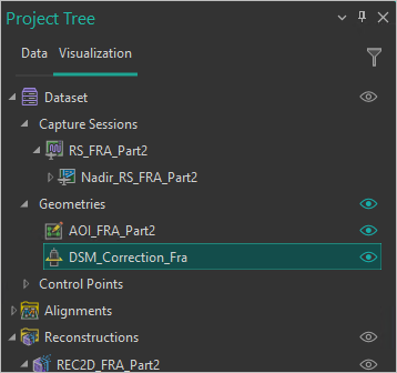 Project Tree pane with the new correction geometry layer