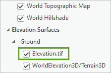 Elevation Surfaces layer category in the Contents pane
