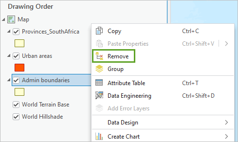 Remove option in the layer's context menu