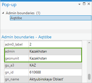 Admin and geounit fields in the pop-up