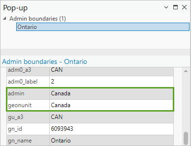 Admin and geounit fields in the pop-up