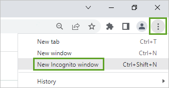 New Incognito window