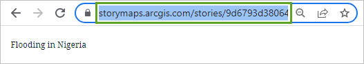 Story URL in the address bar
