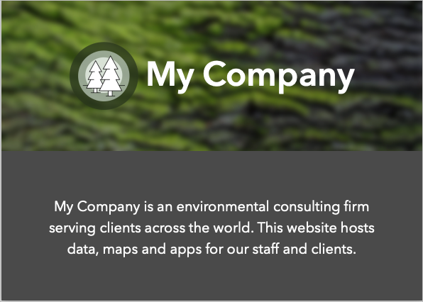Home page with text description