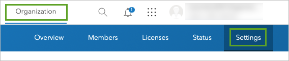 Settings tab