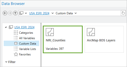 Custom Data tab showing NRI_Counties