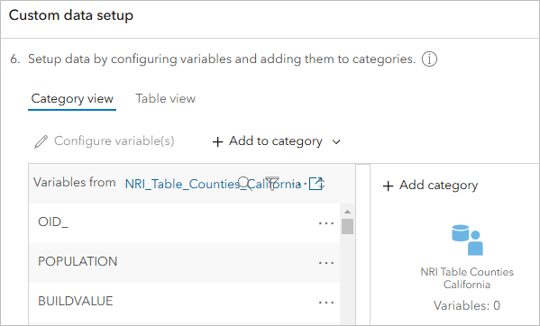 Category view tab in Custom data setup window