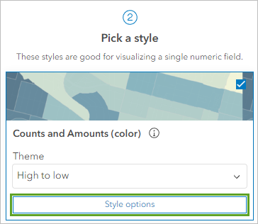 Style options button