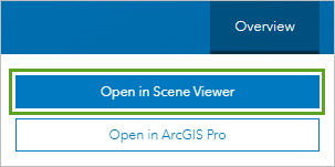 Open in Scene Viewer button