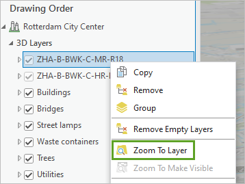 Zoom To Layer menu option
