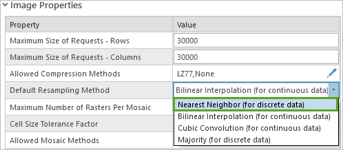 Setting the Default Resampling Method to Nearest Neighbor.