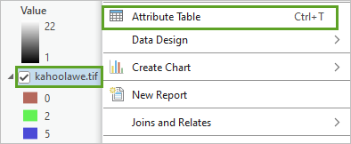 Attribute Table option available