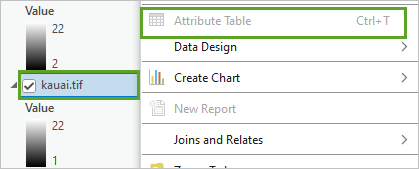 Attribute Table option unavailable