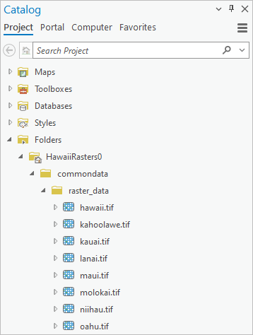 Rasters shown in Catalog pane