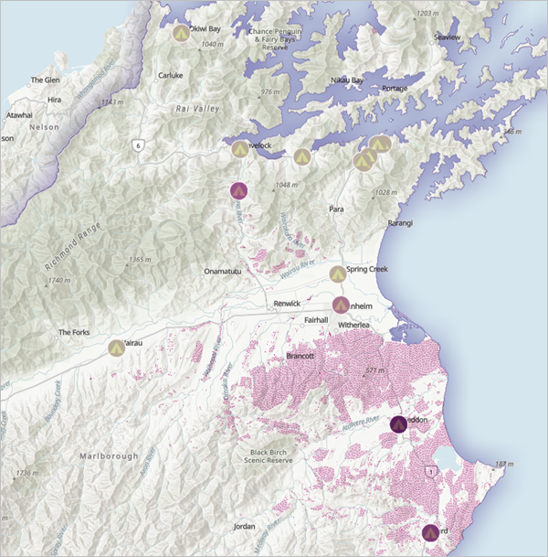 Result layer showing the summarized area of Nassella tussock for each campground