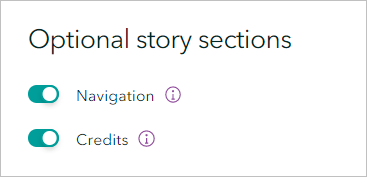 Optional story section configurations