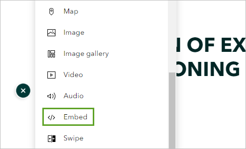 Embed option